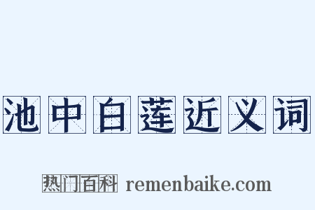 池中白莲近义词是什么意思的图片